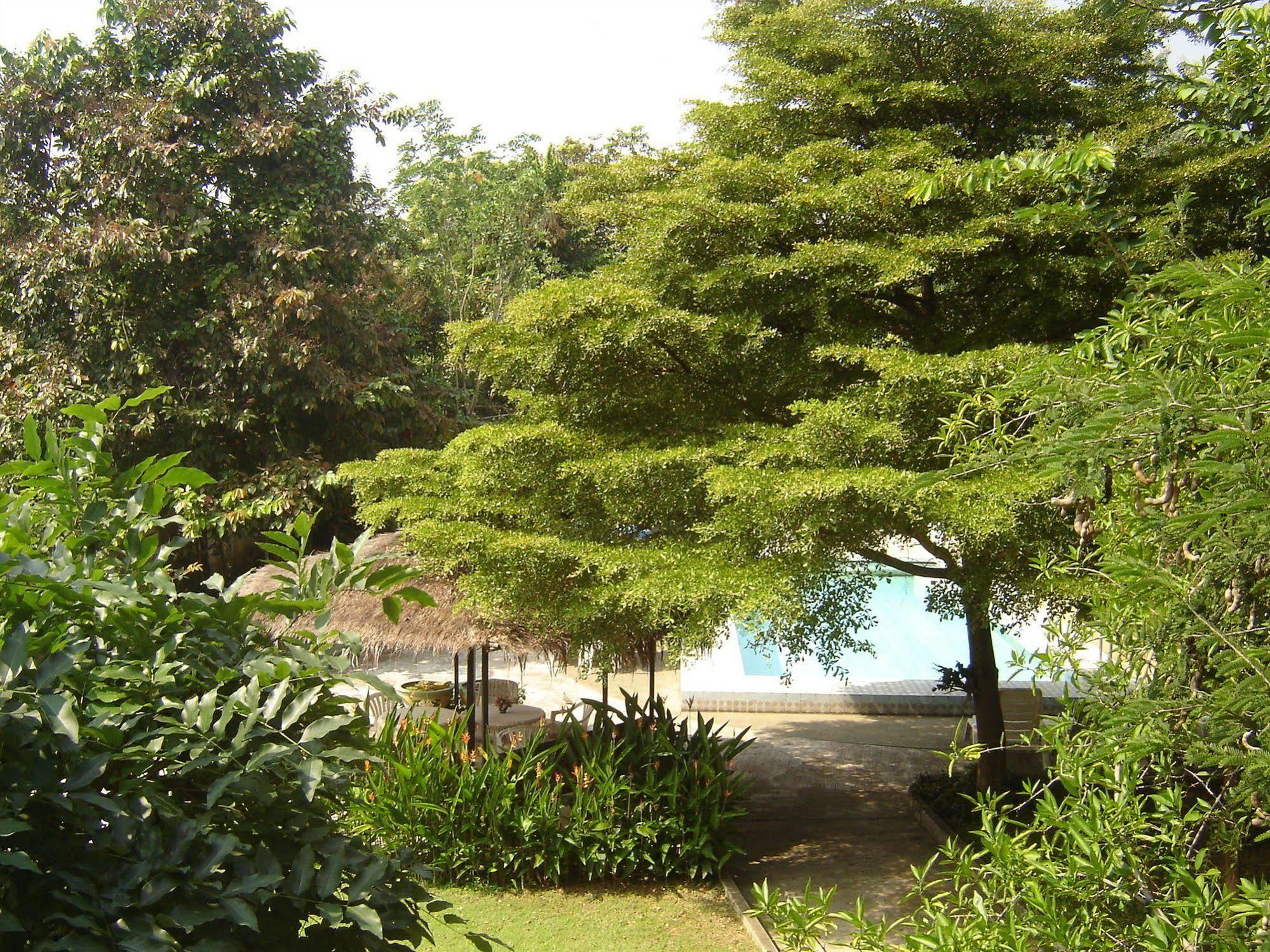 Golden Cupids Hotel Chiang Mai Dış mekan fotoğraf
